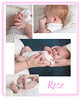 Rose Stevens : 